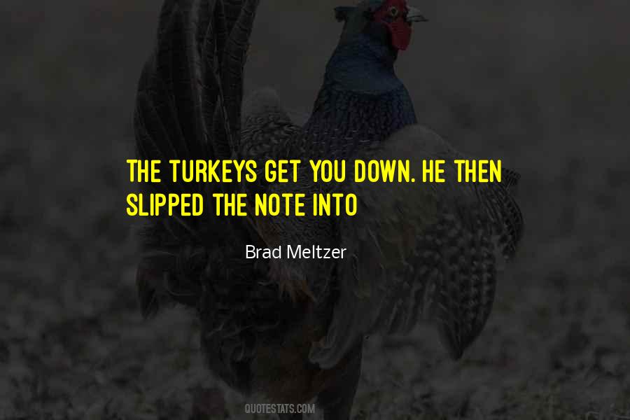 Brad Meltzer Quotes #262296