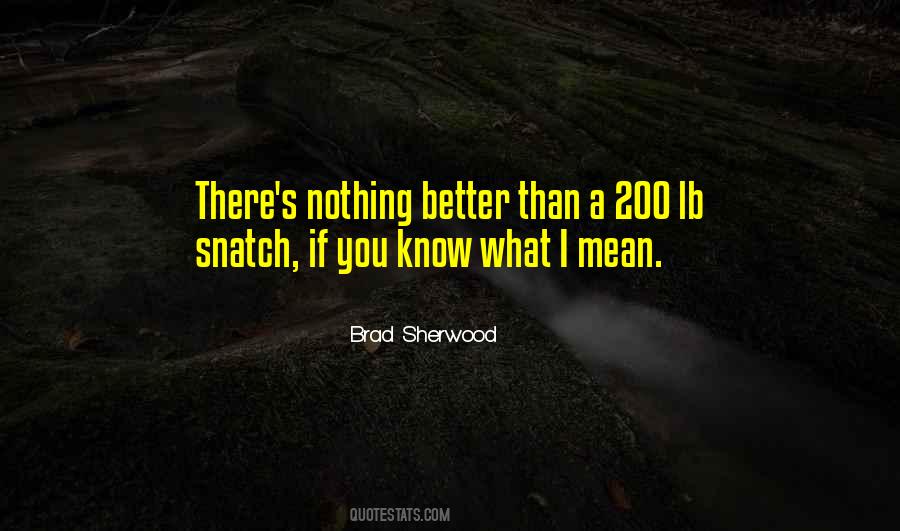 Brad Sherwood Quotes #181844