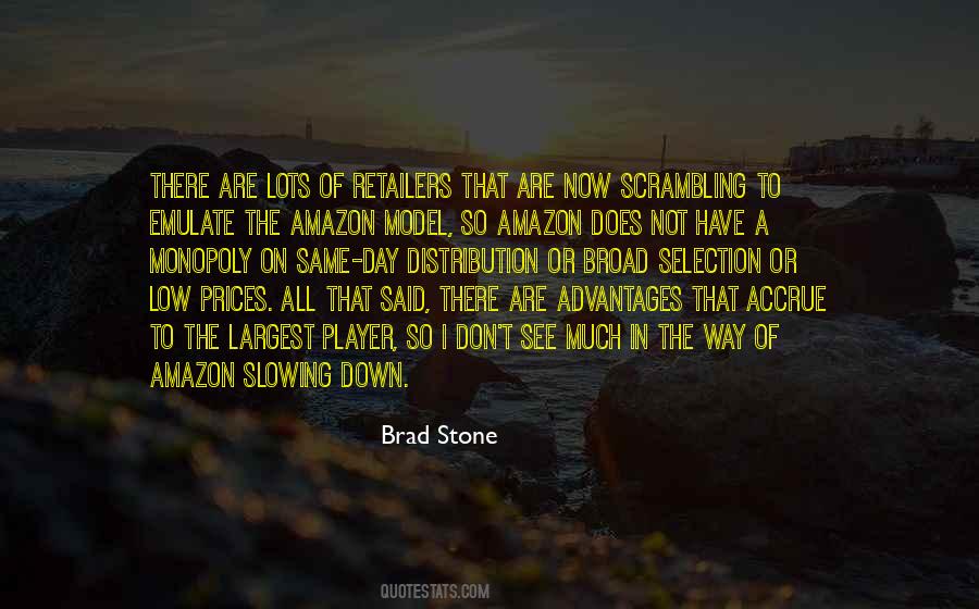 Brad Stone Quotes #353660