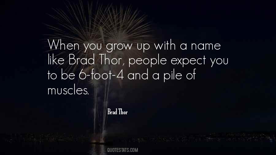 Brad Thor Quotes #509556