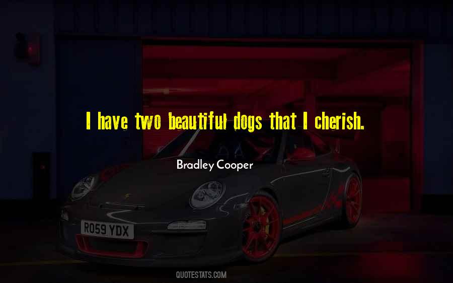 Bradley Cooper Quotes #1851993
