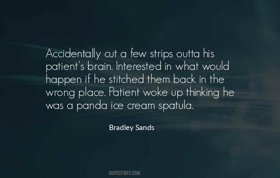Bradley Sands Quotes #1604073