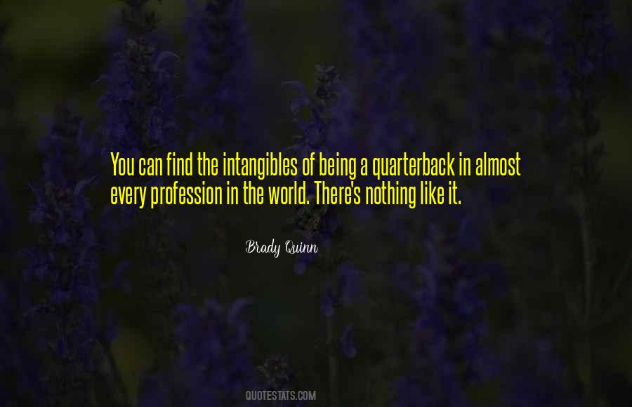 Brady Quinn Quotes #135363
