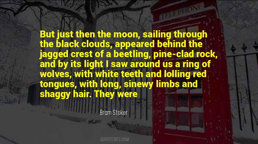 Bram Stoker Quotes #693501