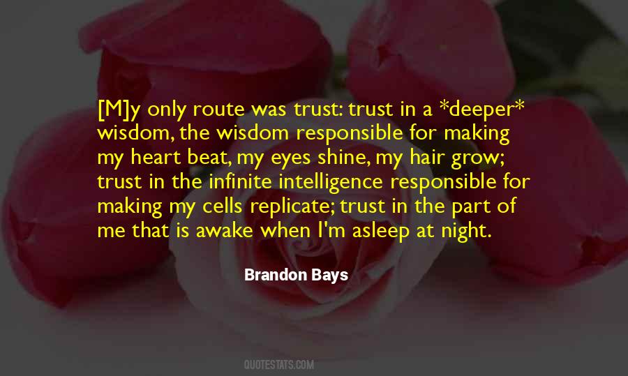 Brandon Bays Quotes #101535