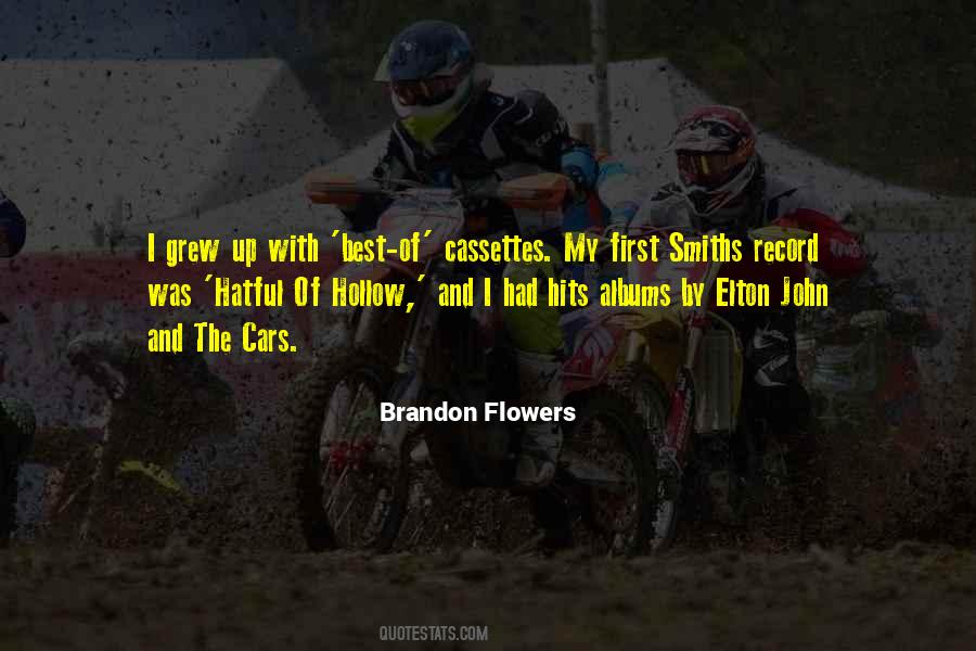 Brandon Flowers Quotes #575395