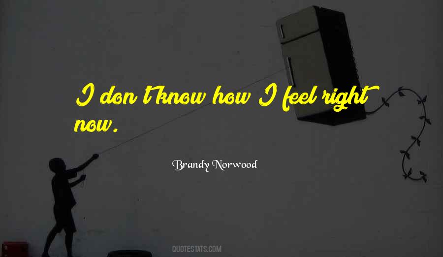 Brandy Norwood Quotes #1169211