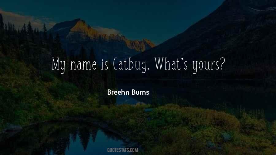 Breehn Burns Quotes #1251750