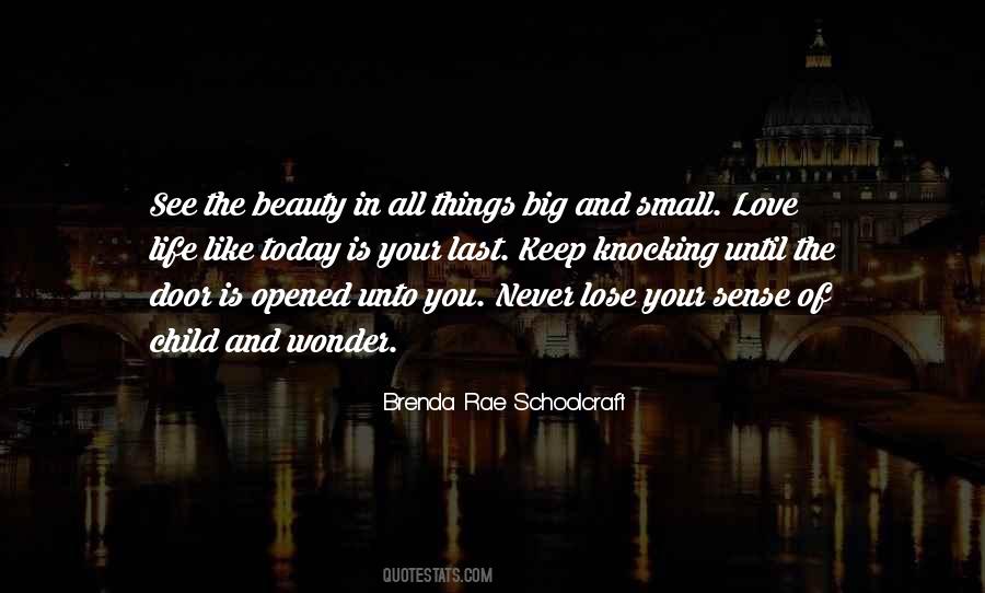 Brenda Rae Schoolcraft Quotes #967985