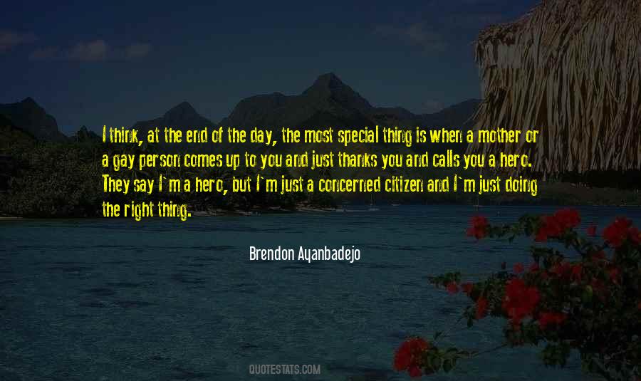 Brendon Ayanbadejo Quotes #928932