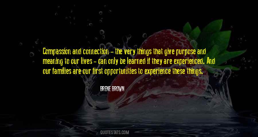 Brene Brown Quotes #1701839