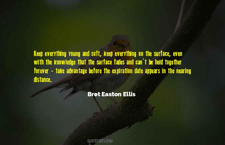 Bret Easton Ellis Quotes #986697