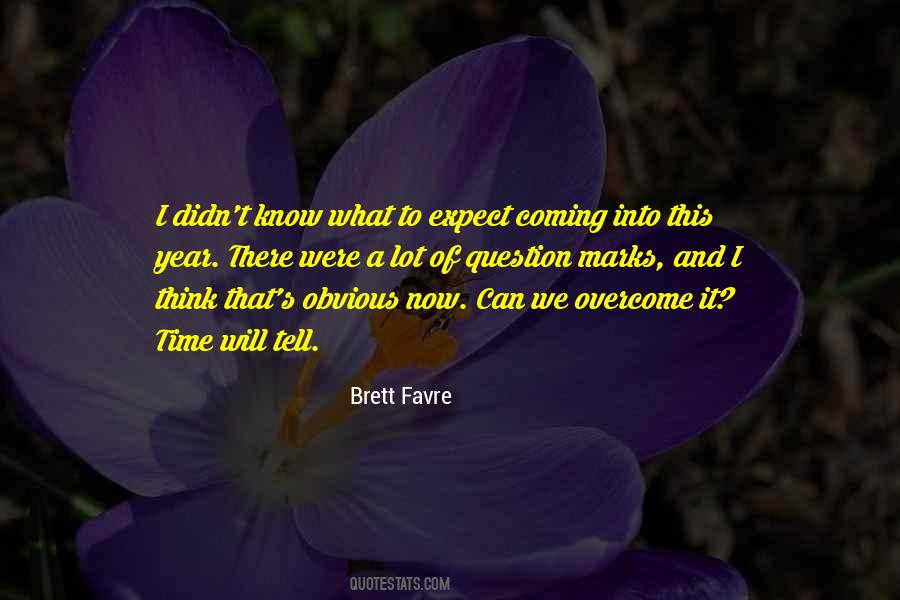 Brett Favre Quotes #875700