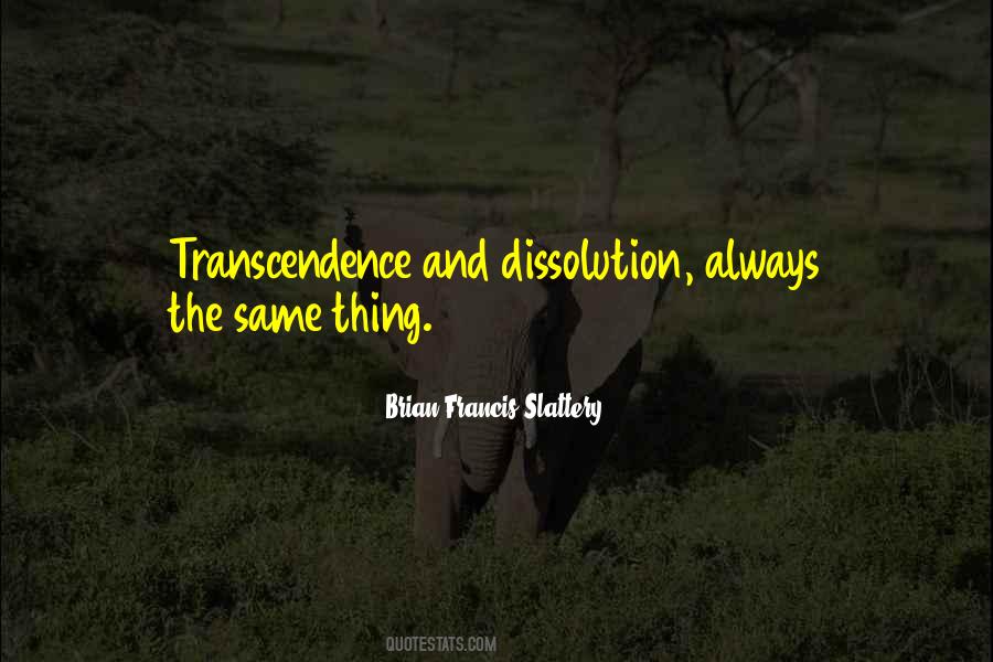 Brian Francis Slattery Quotes #955589