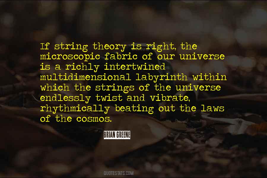 Brian Greene Quotes #1597445