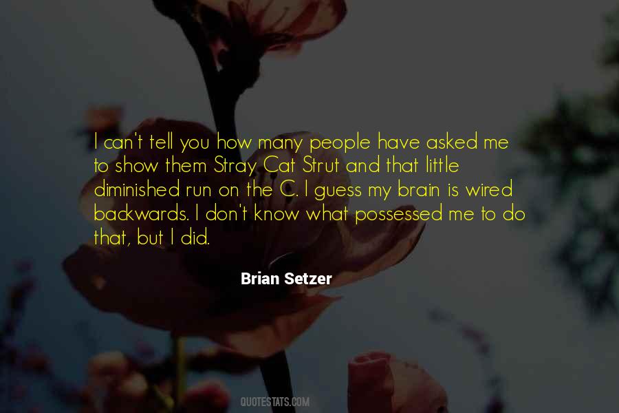 Brian Setzer Quotes #1137353