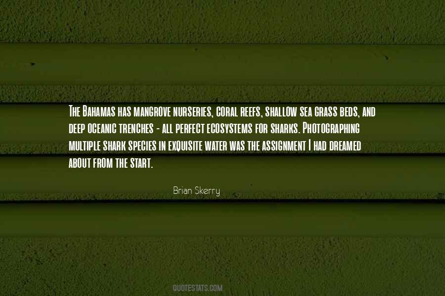 Brian Skerry Quotes #1196676