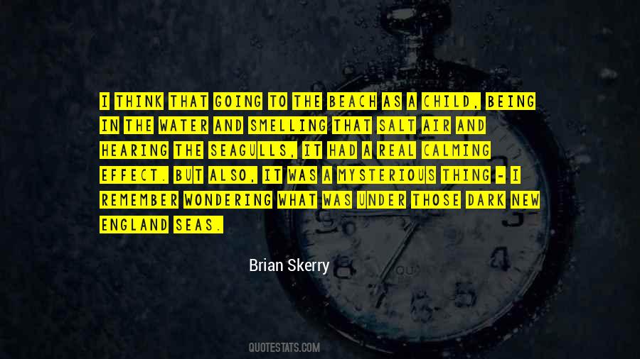 Brian Skerry Quotes #1228995