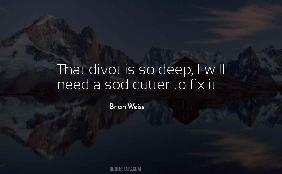 Brian Weiss Quotes #48631