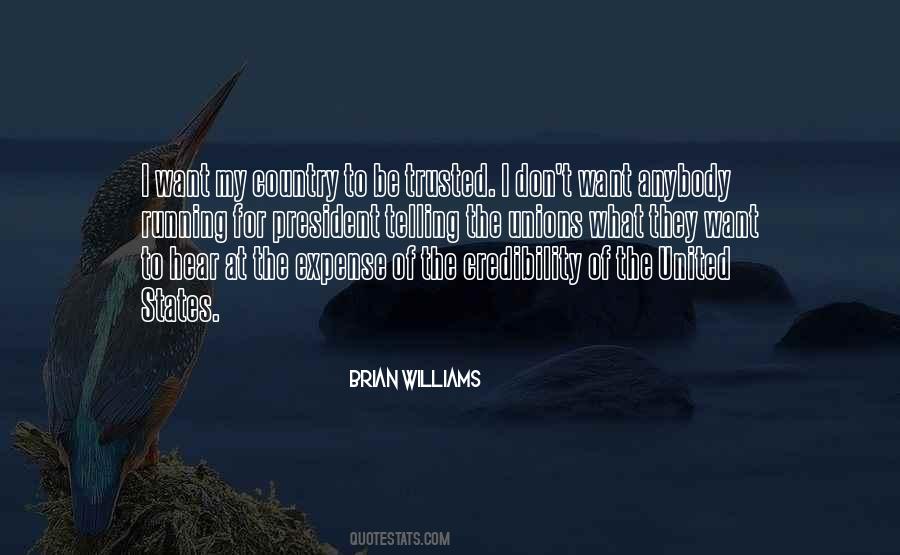 Brian Williams Quotes #1107473