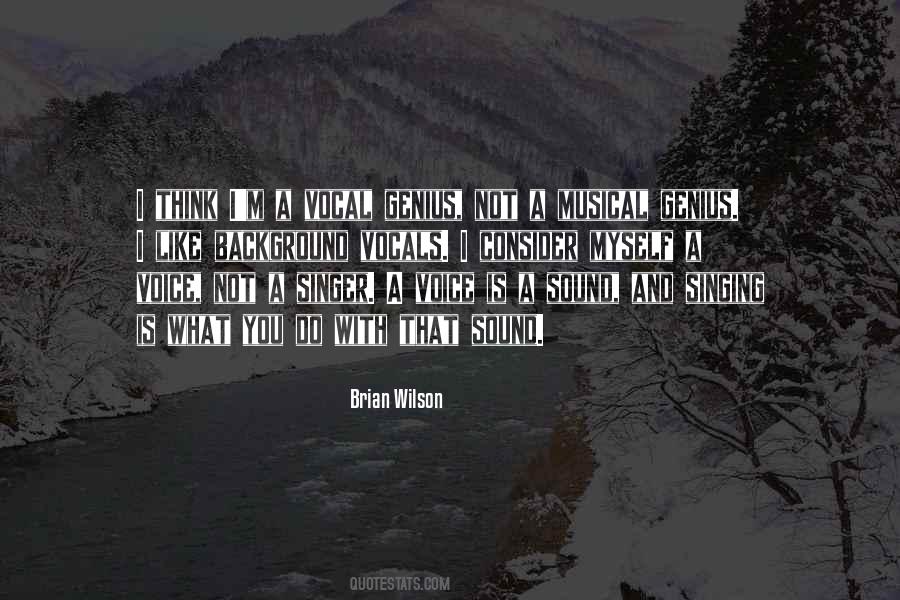 Brian Wilson Quotes #1247128