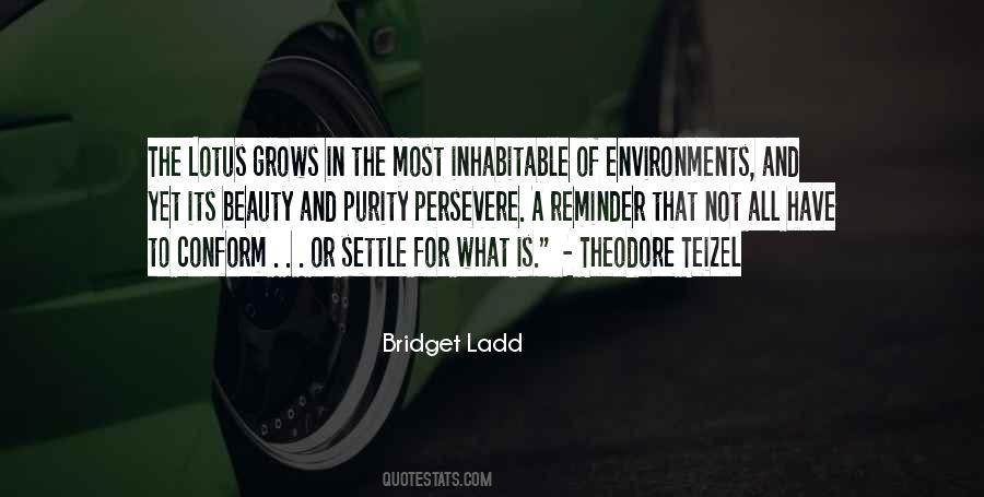 Bridget Ladd Quotes #482387 Bridget Ladd Quotes #482387