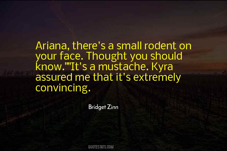 Bridget Zinn Quotes #573601