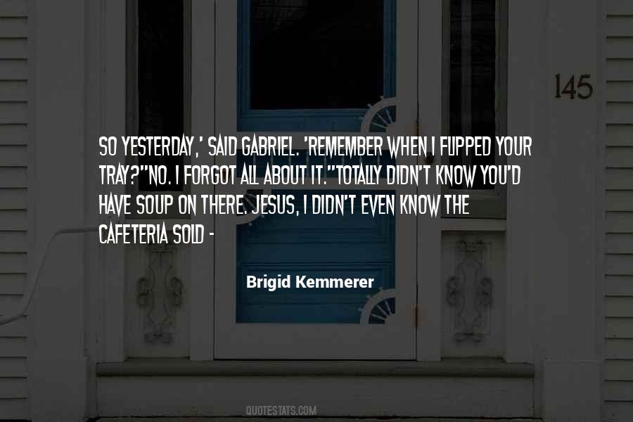 Brigid Kemmerer Quotes #1335020