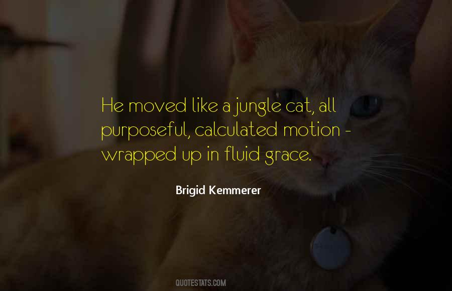 Brigid Kemmerer Quotes #1730083