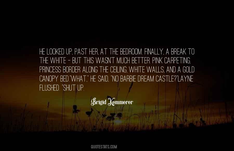 Brigid Kemmerer Quotes #224136