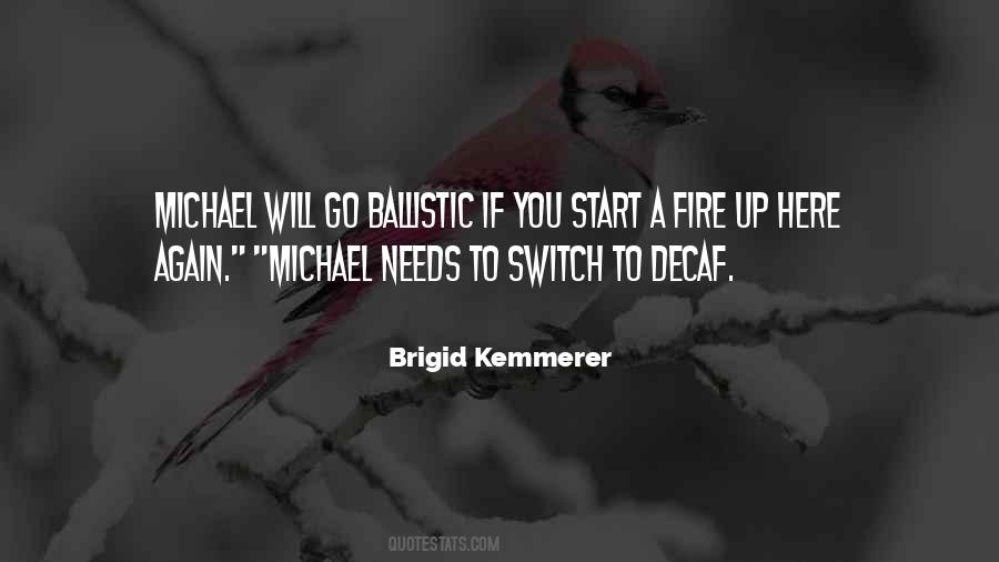 Brigid Kemmerer Quotes #652138