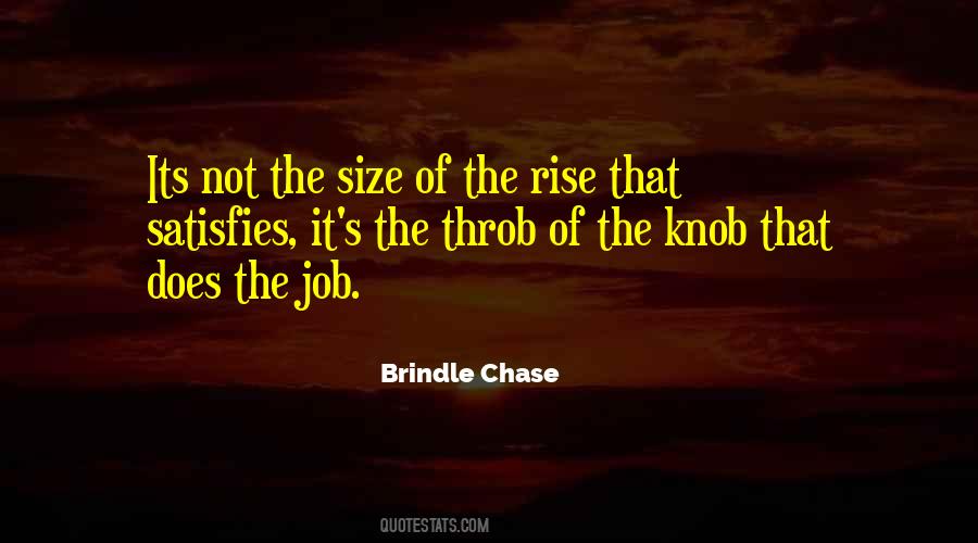 Brindle Chase Quotes #317591
