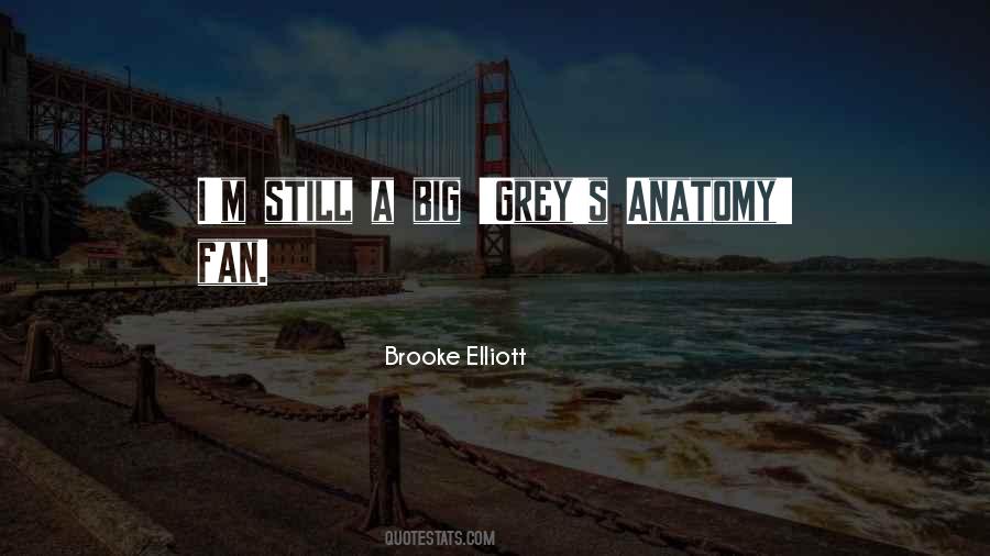 Brooke Elliott Quotes #1189507