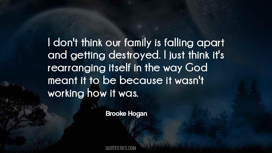 Brooke Hogan Quotes #882277