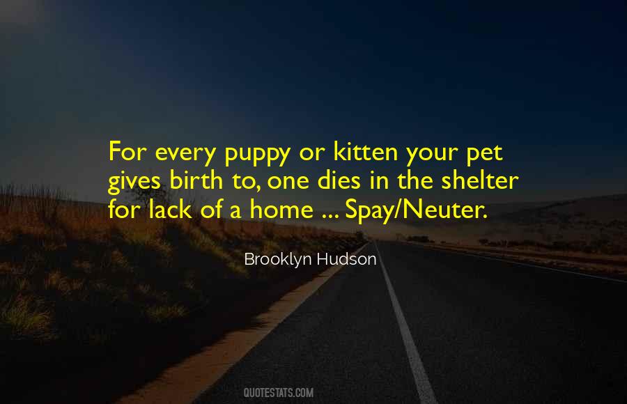 Brooklyn Hudson Quotes #951291