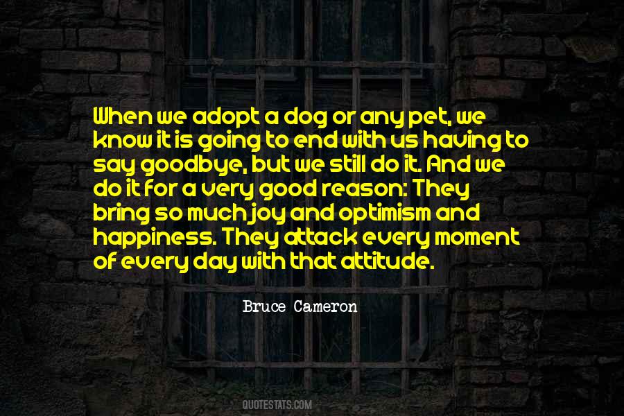 Bruce Cameron Quotes #617200