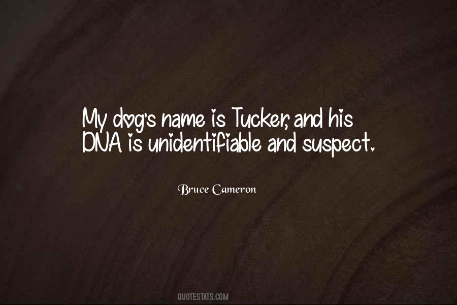 Bruce Cameron Quotes #93059