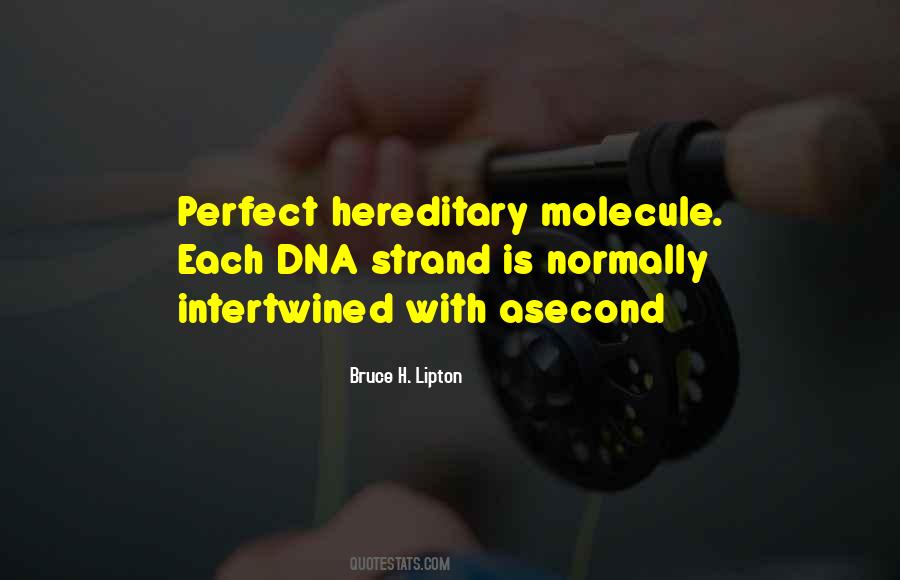 Bruce H. Lipton Quotes #1069884