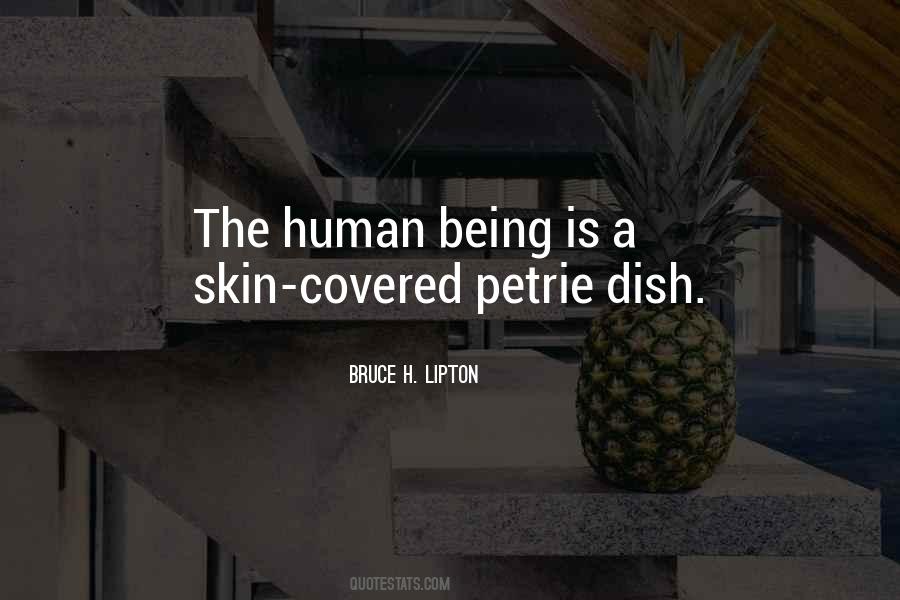 Bruce H. Lipton Quotes #1521671
