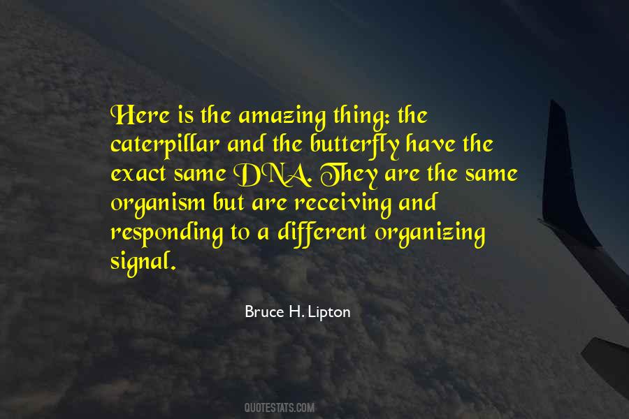 Bruce H. Lipton Quotes #1551922