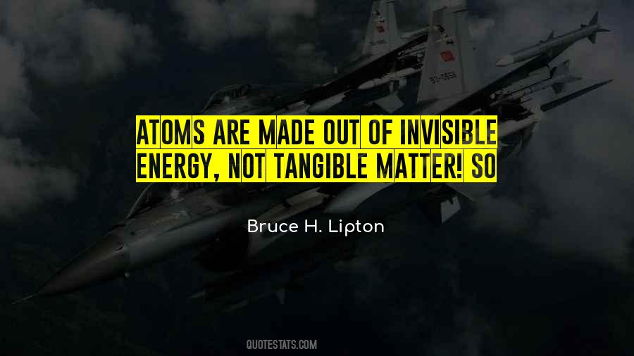 Bruce H. Lipton Quotes #1601522