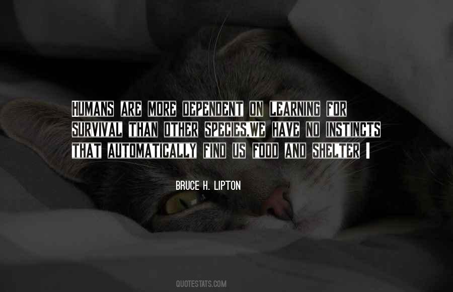 Bruce H. Lipton Quotes #260693