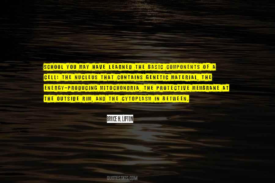 Bruce H. Lipton Quotes #948372
