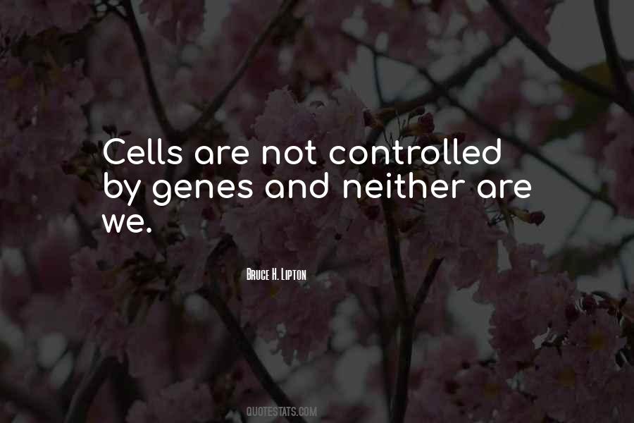 Bruce H. Lipton Quotes #954493