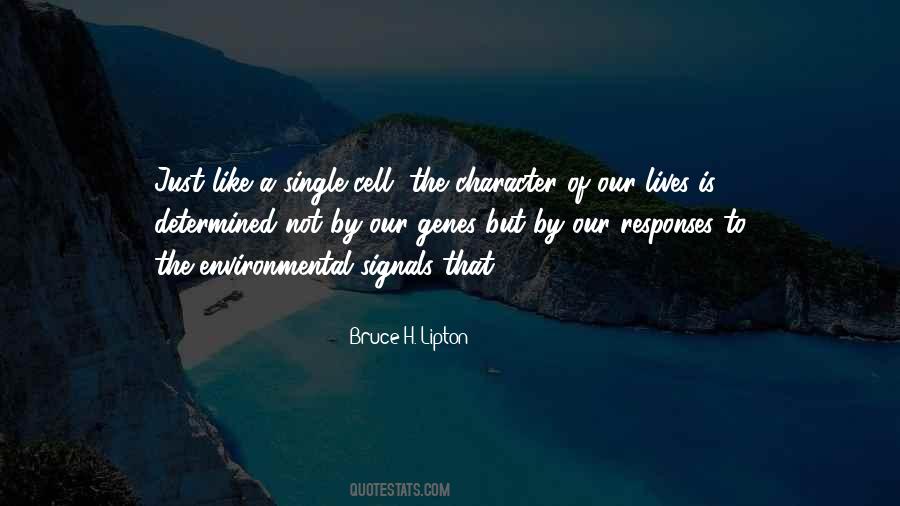 Bruce H. Lipton Quotes #977551