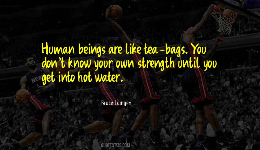 Bruce Laingen Quotes #351480 Bruce Laingen Quotes #351480