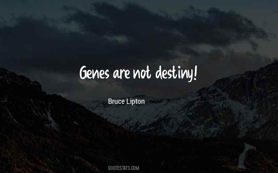 Bruce Lipton Quotes #269101