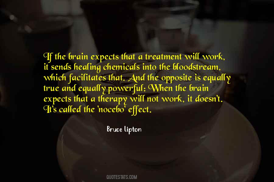 Bruce Lipton Quotes #431702