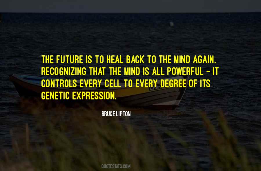 Bruce Lipton Quotes #866012