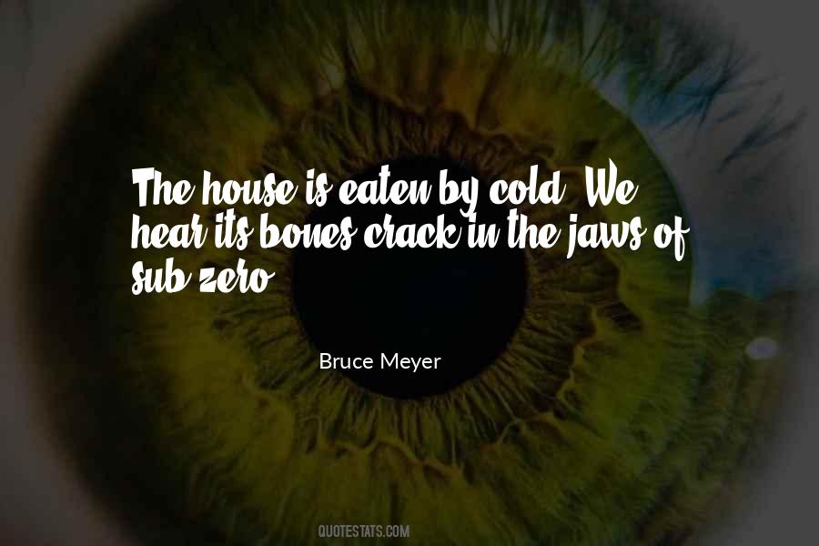 Bruce Meyer Quotes #595545